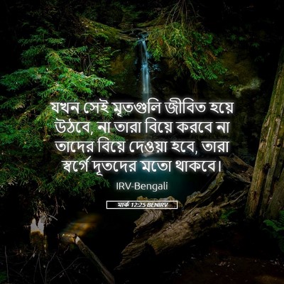 Picture 05 - মার্ক 12:25 BENIRV - যখন সেই মৃতগুলি - Bible Verse Picture