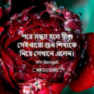 Picture 05 - মার্ক 14:17 BENIRV - পরে সন্ধ্যা হলে - Bible Verse Picture