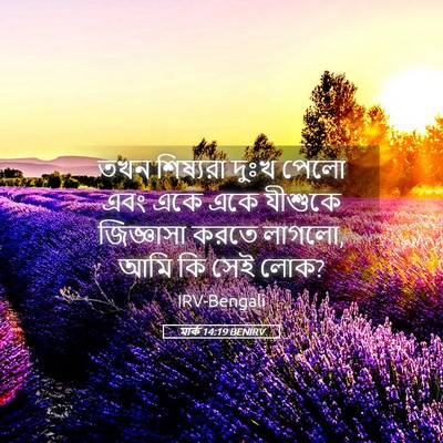 Picture 05 - মার্ক 14:19 BENIRV - তখন শিষ্যরা দুঃখ - Bible Verse Picture