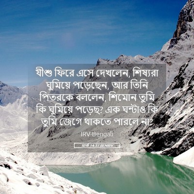 Picture 05 - মার্ক 14:37 BENIRV - যীশু ফিরে এসে - Bible Verse Picture