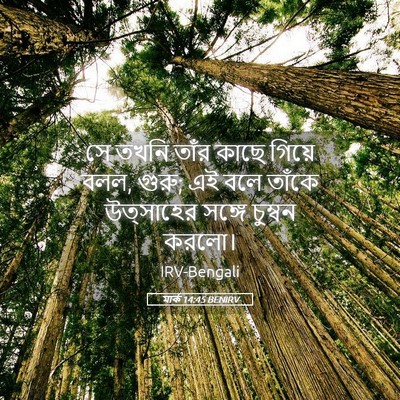 Picture 05 - মার্ক 14:45 BENIRV - সে তখনি তাঁর কাছে - Bible Verse Picture