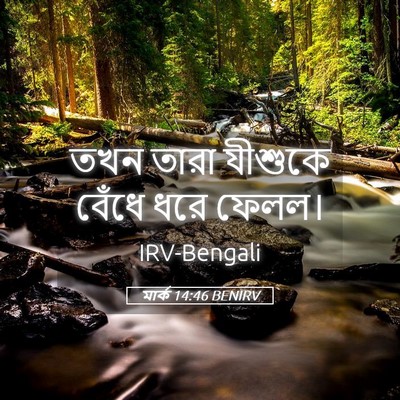 Picture 05 - মার্ক 14:46 BENIRV - তখন তারা যীশুকে - Bible Verse Picture