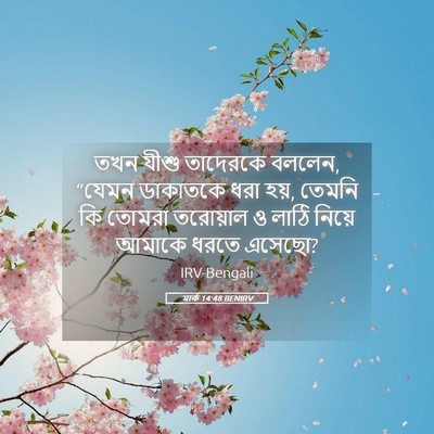 Picture 05 - মার্ক 14:48 BENIRV - তখন যীশু তাদেরকে - Bible Verse Picture