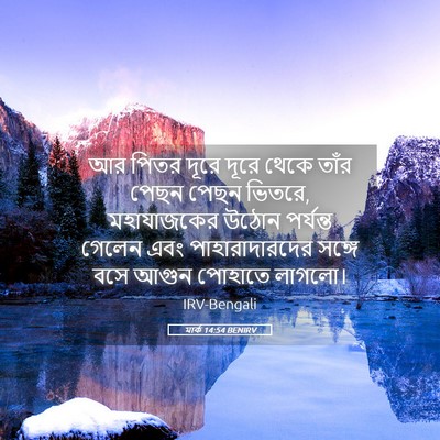 Picture 05 - মার্ক 14:54 BENIRV - আর পিতর দূরে দূরে - Bible Verse Picture
