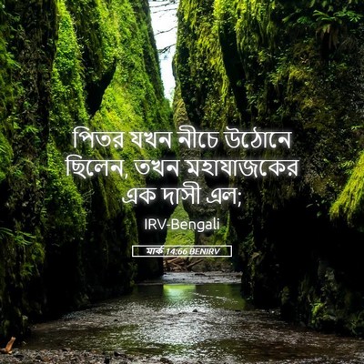 Picture 05 - মার্ক 14:66 BENIRV - পিতর যখন নীচে - Bible Verse Picture