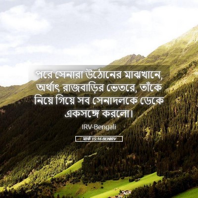 Picture 05 - মার্ক 15:16 BENIRV - পরে সেনারা উঠোনের - Bible Verse Picture