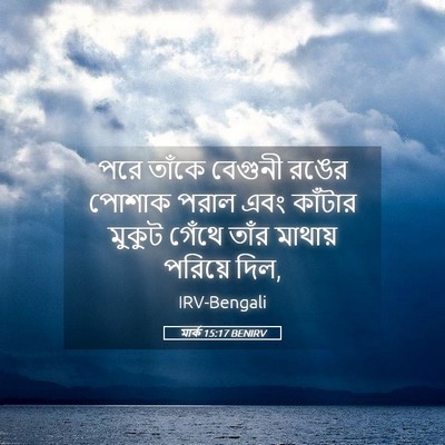 Picture 05 - মার্ক 15:17 BENIRV - পরে তাঁকে বেগুনী - Bible Verse Picture