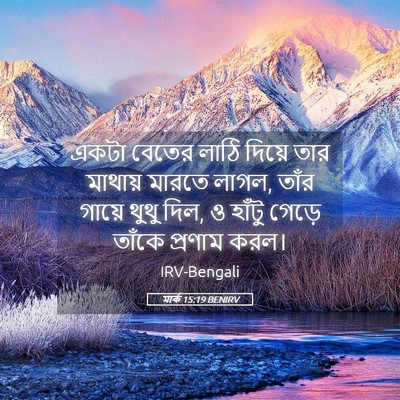 Picture 05 - মার্ক 15:19 BENIRV - একটা বেতের লাঠি - Bible Verse Picture