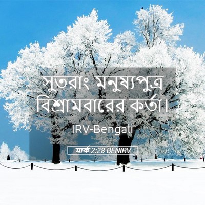 Picture 05 - মার্ক 2:28 BENIRV - সুতরাং - Bible Verse Picture