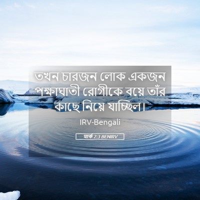 Picture 05 - মার্ক 2:3 BENIRV - তখন চারজন লোক একজন - Bible Verse Picture