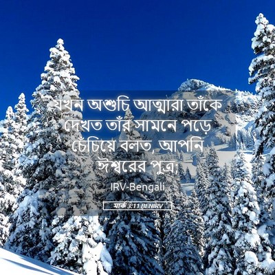 Picture 05 - মার্ক 3:11 BENIRV - যখন অশুচি আত্মারা - Bible Verse Picture