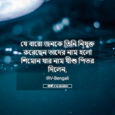 Picture 05 - মার্ক 3:16 BENIRV - যে বারো জনকে তিনি - Bible Verse Picture