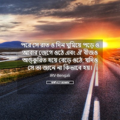Picture 05 - মার্ক 4:27 BENIRV - পরে সে রাত ও দিন - Bible Verse Picture