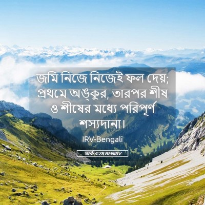 Picture 05 - মার্ক 4:28 BENIRV - জমি নিজে নিজেই ফল - Bible Verse Picture