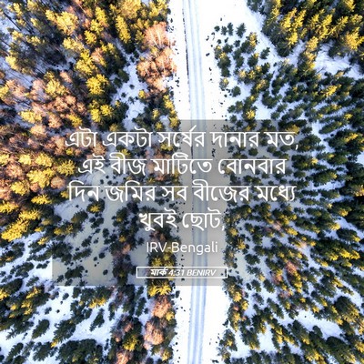 Picture 05 - মার্ক 4:31 BENIRV - এটা একটা সর্ষের - Bible Verse Picture