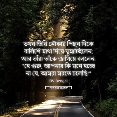 Picture 05 - মার্ক 4:38 BENIRV - তখন তিনি নৌকার - Bible Verse Picture