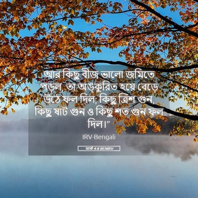 Picture 05 - মার্ক 4:8 BENIRV - আর কিছু বীজ ভালো - Bible Verse Picture