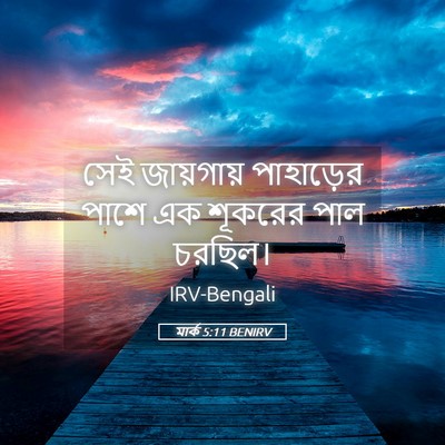 Picture 05 - মার্ক 5:11 BENIRV - সেই জায়গায় - Bible Verse Picture