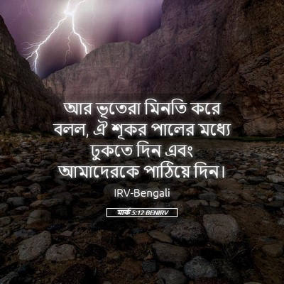 Picture 05 - মার্ক 5:12 BENIRV - আর ভূতেরা মিনতি - Bible Verse Picture