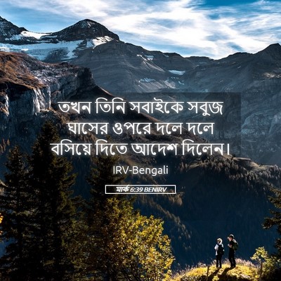 Picture 05 - মার্ক 6:39 BENIRV - তখন তিনি সবাইকে - Bible Verse Picture