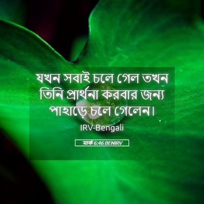 Picture 05 - মার্ক 6:46 BENIRV - যখন সবাই চলে গেল - Bible Verse Picture