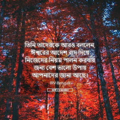 Picture 05 - মার্ক 7:9 BENIRV - তিনি তাদেরকে আরও - Bible Verse Picture