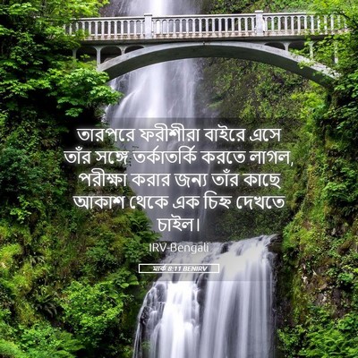 Picture 05 - মার্ক 8:11 BENIRV - তারপরে ফরীশীরা - Bible Verse Picture