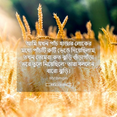 Picture 05 - মার্ক 8:19 BENIRV - আমি যখন পাঁচ হাজার - Bible Verse Picture
