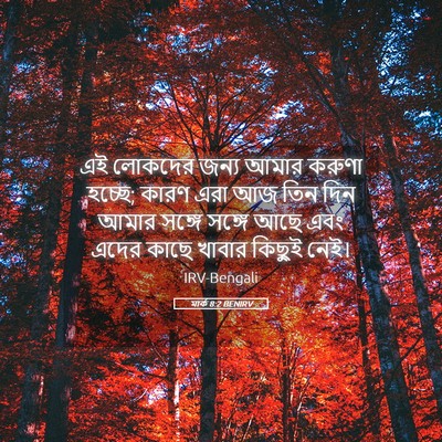 Picture 05 - মার্ক 8:2 BENIRV - এই লোকদের জন্য - Bible Verse Picture