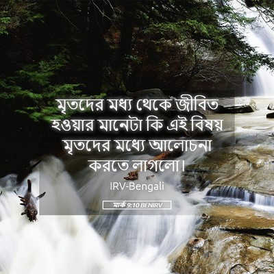 Picture 05 - মার্ক 9:10 BENIRV - মৃতদের মধ্য থেকে - Bible Verse Picture