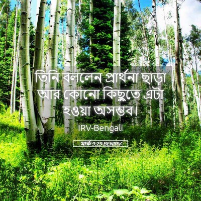 Picture 05 - মার্ক 9:29 BENIRV - তিনি বললেন - Bible Verse Picture