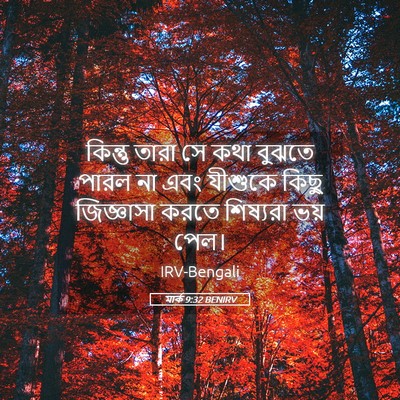 Picture 05 - মার্ক 9:32 BENIRV - কিন্তু তারা সে কথা - Bible Verse Picture