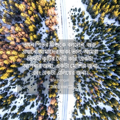 Picture 05 - মার্ক 9:5 BENIRV - তখন পিতর যীশুকে - Bible Verse Picture