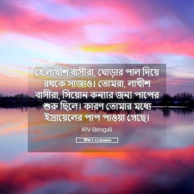 Picture 05 - মীখা 1:13 BENIRV - হে লাখীশ বাসীরা, - Bible Verse Picture