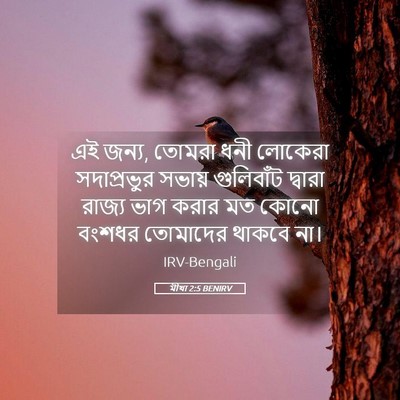 Picture 05 - মীখা 2:5 BENIRV - এই জন্য, তোমরা ধনী - Bible Verse Picture