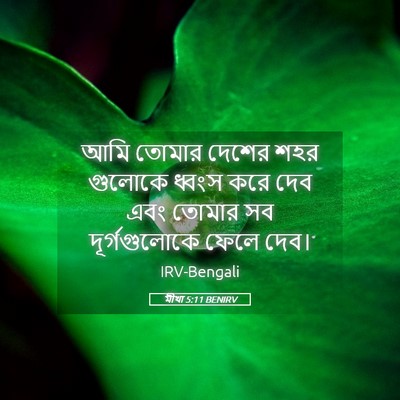 Picture 05 - মীখা 5:11 BENIRV - আমি তোমার দেশের - Bible Verse Picture