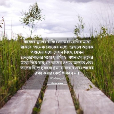 Picture 05 - মীখা 5:8 BENIRV - যাকোব কুলের বাকি - Bible Verse Picture