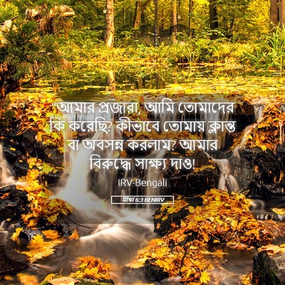 Picture 05 - মীখা 6:3 BENIRV - “আমার প্রজারা, আমি - Bible Verse Picture