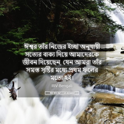 Picture 05 - যাকোবের 1:18 BENIRV - ঈশ্বর তাঁর নিজের - Bible Verse Picture