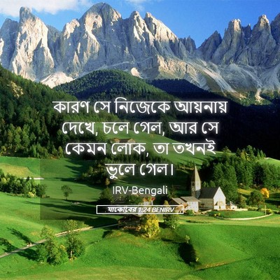 Picture 05 - যাকোবের 1:24 BENIRV - কারণ সে নিজেকে - Bible Verse Picture