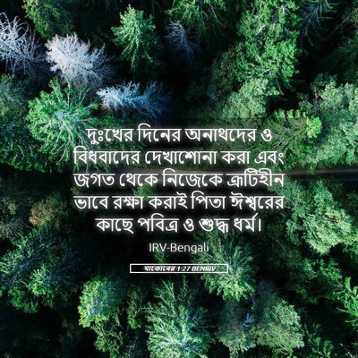 Picture 05 - যাকোবের 1:27 BENIRV - দুঃখের দিনের - Bible Verse Picture