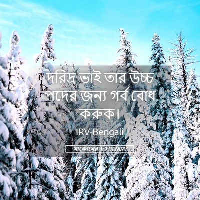 Picture 05 - যাকোবের 1:9 BENIRV - দরিদ্র ভাই তার - Bible Verse Picture