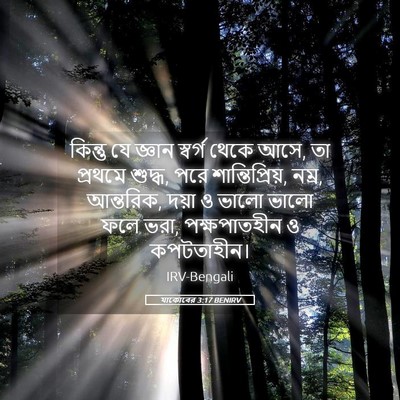 Picture 05 - যাকোবের 3:17 BENIRV - কিন্তু যে জ্ঞান - Bible Verse Picture