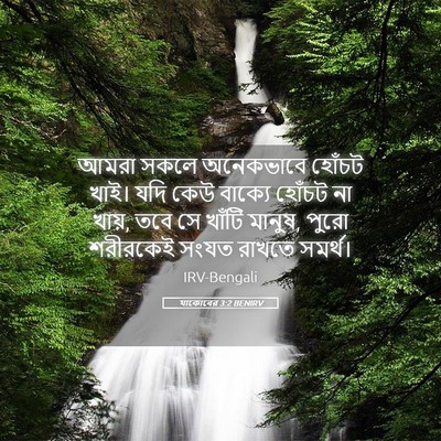 Picture 05 - যাকোবের 3:2 BENIRV - আমরা সকলে - Bible Verse Picture