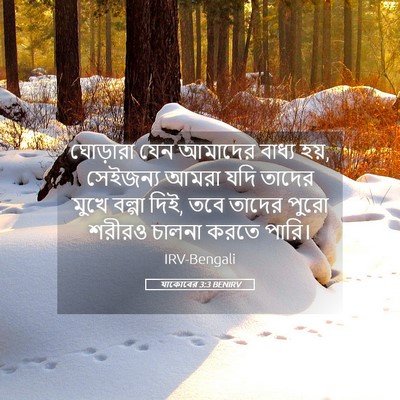 Picture 05 - যাকোবের 3:3 BENIRV - ঘোড়ারা যেন - Bible Verse Picture