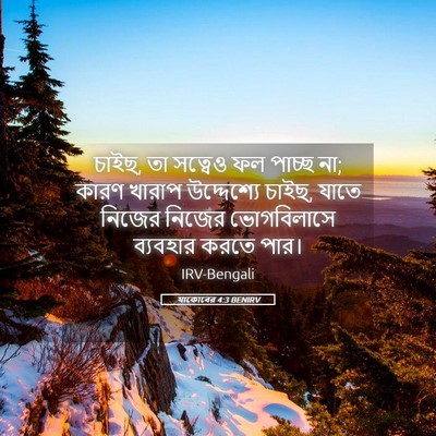 Picture 05 - যাকোবের 4:3 BENIRV - চাইছ, তা সত্বেও ফল - Bible Verse Picture