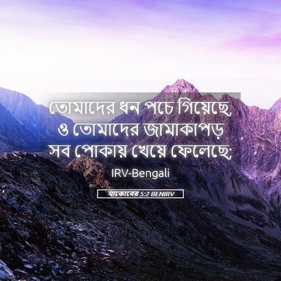 Picture 05 - যাকোবের 5:2 BENIRV - তোমাদের ধন পচে - Bible Verse Picture