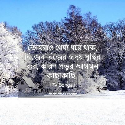 Picture 05 - যাকোবের 5:8 BENIRV - তোমরাও ধৈর্য্য - Bible Verse Picture