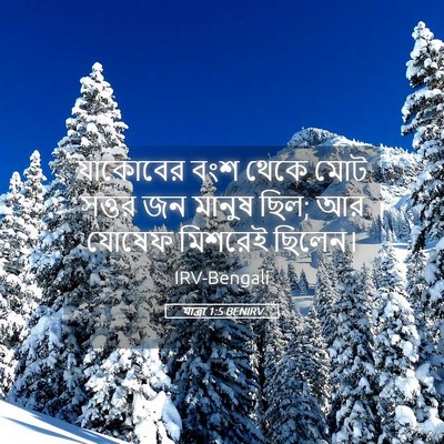 Picture 05 - যাত্ৰা 1:5 BENIRV - যাকোবের বংশ থেকে - Bible Verse Picture