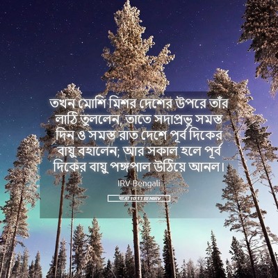 Picture 05 - যাত্ৰা 10:13 BENIRV - তখন মোশি মিশর - Bible Verse Picture